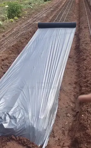 Plastic Mulch Film ( 1.2m * 450m  )