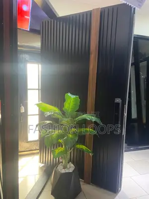 Pivot Door