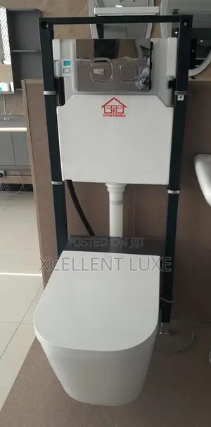 Sensor/Manual Concealed Wc, Self Flushing With Good Flushing System