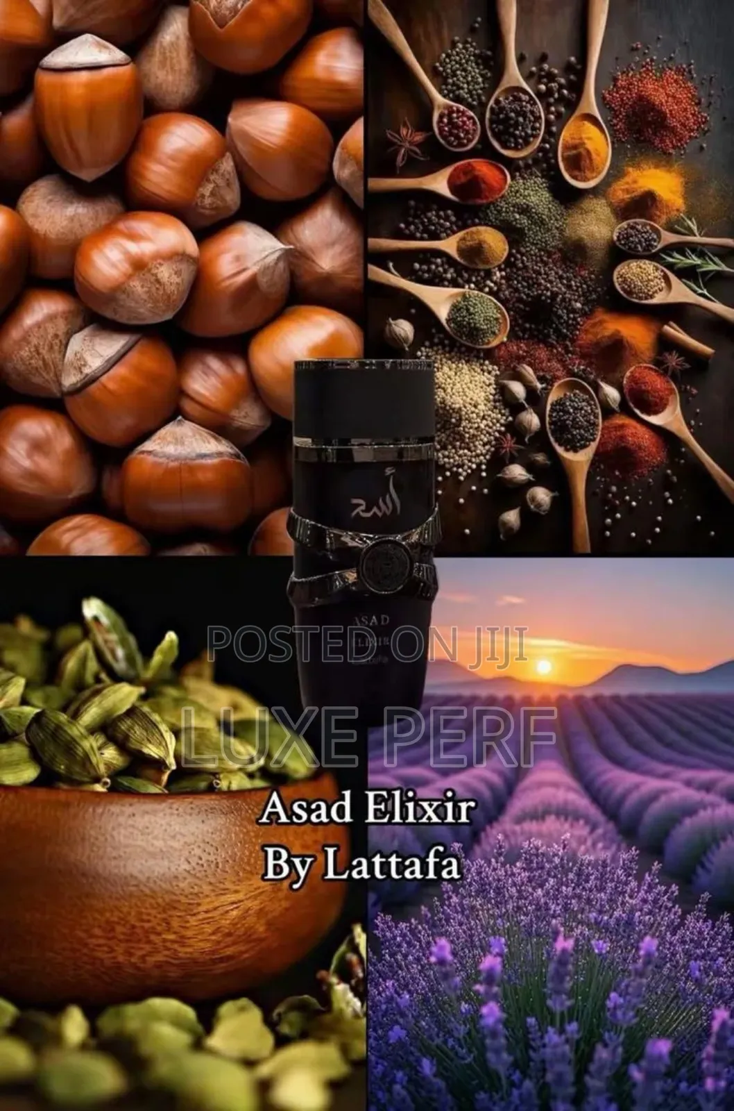 Asad Elixir