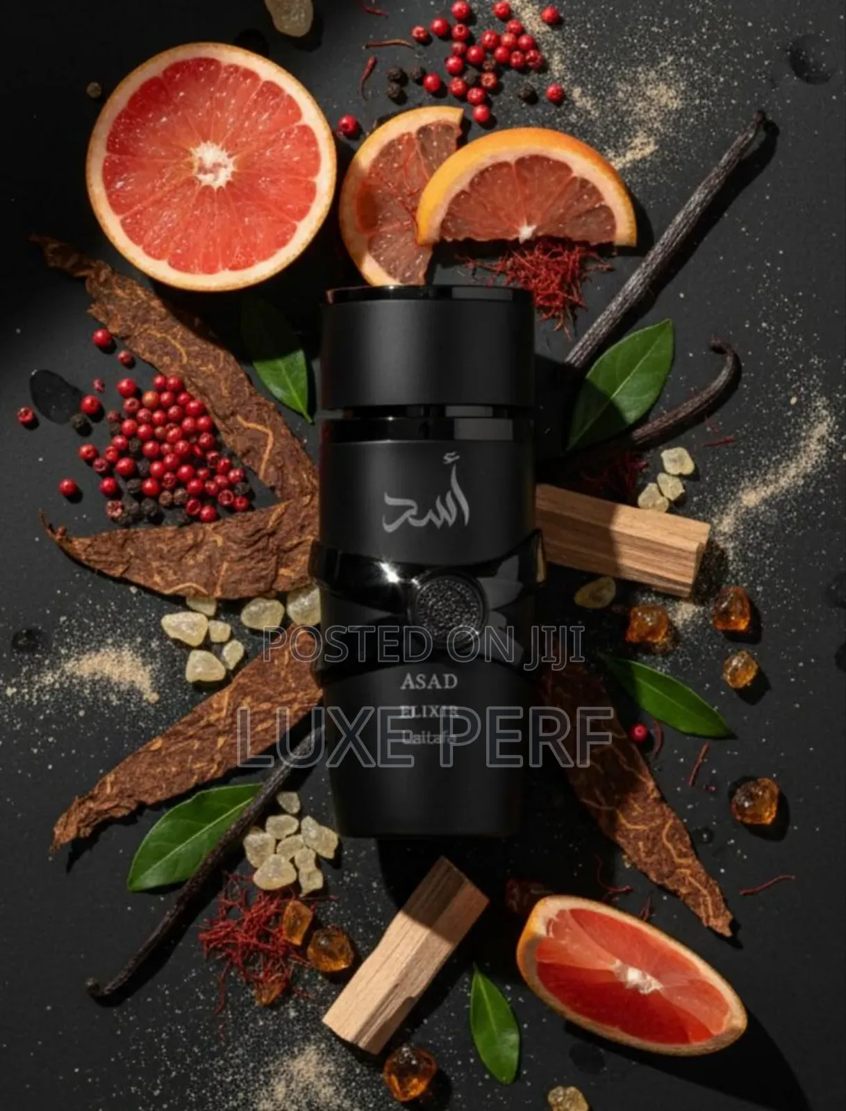 Asad Elixir