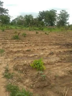 Land for Sale! 
Plot Size: 1900sqm
 
Purpose: Residential