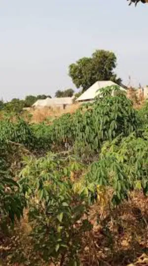Land for Sale! Plot Size: 1,600sqm Purpose: Residential