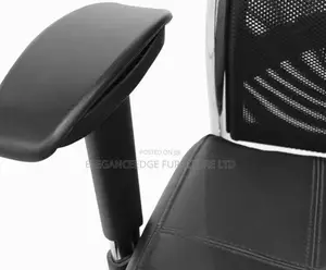 Mesh Ergonomic Office Chair With Lumber Support and Headrest