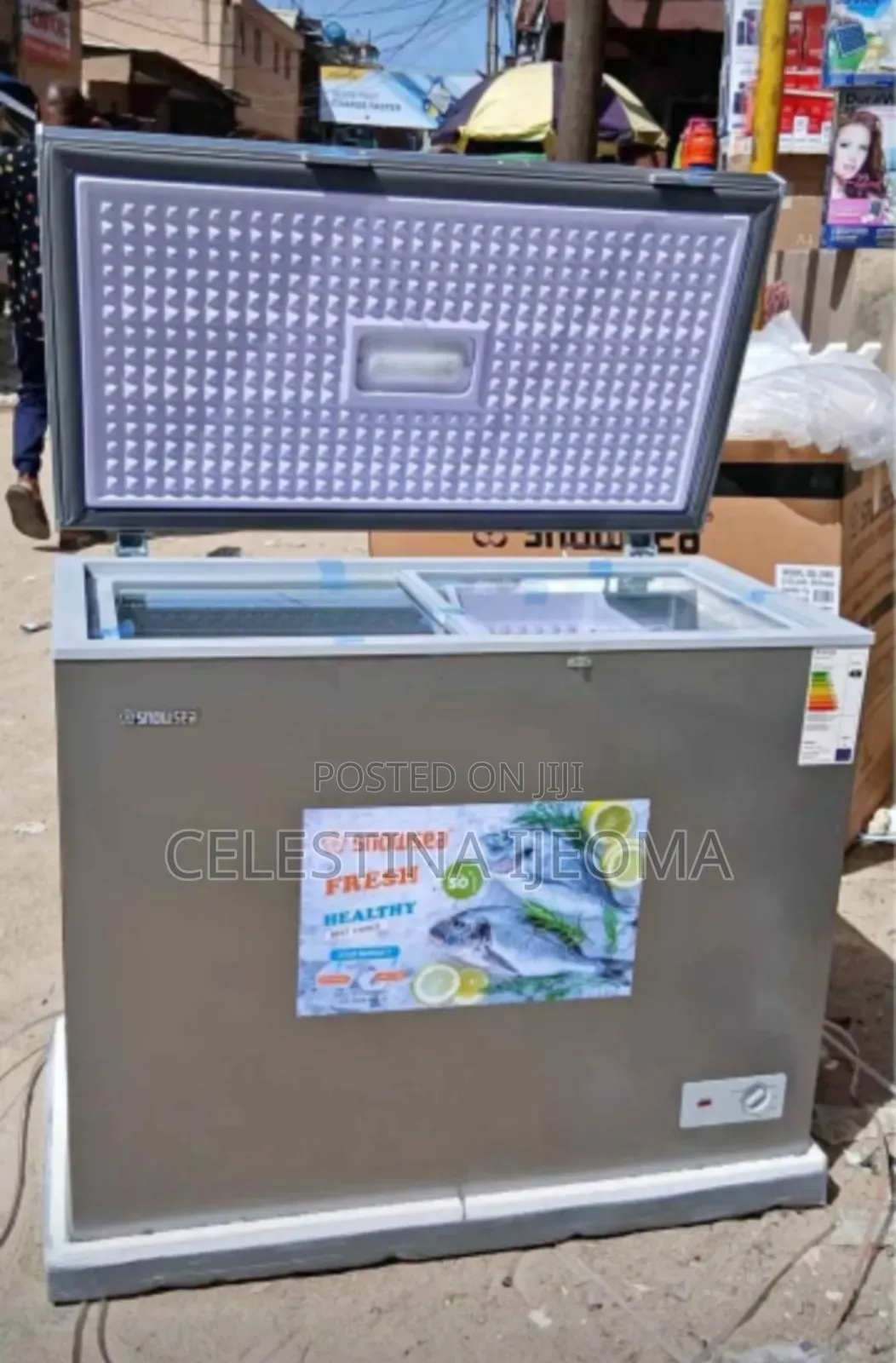 Snowsea 308l Freezer