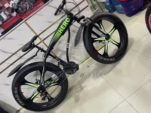 Solid Alloyed Rim Fat Tyre Bicycle
