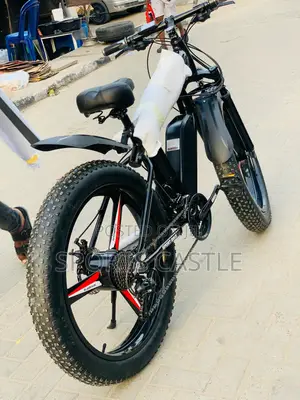 Electric Foldable Bicycle
