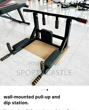 Wall-mounted Pull-up And Dip Station.