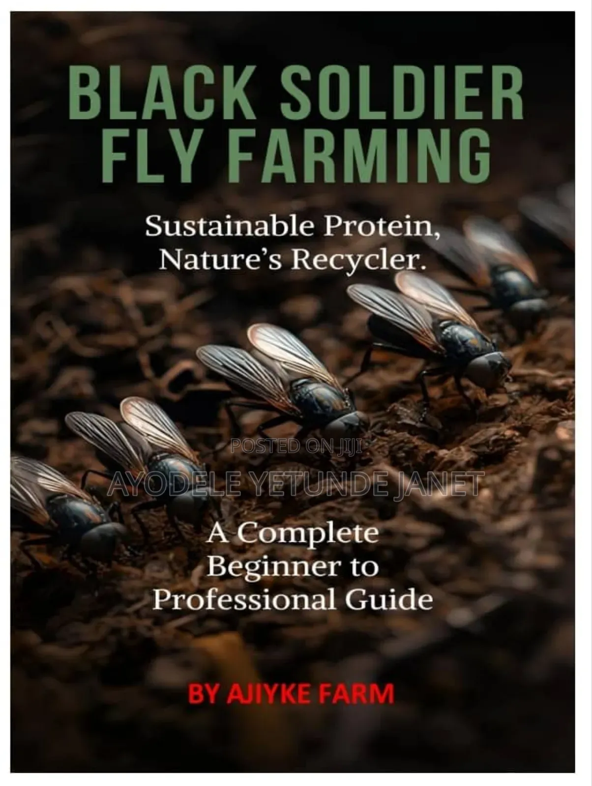 Black Soldier Fly Farming in Ilorin South - Farm Animal Feed ...