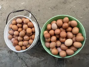 Fresh Egg Sales