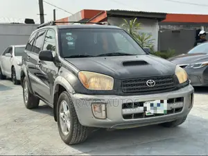 Toyota RAV4 2.0 4x4 Executive 2004 Gray