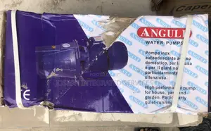 Angulf Jet 100b Water Pump
