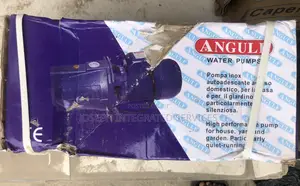 Angulf Jet 100b Water Pump