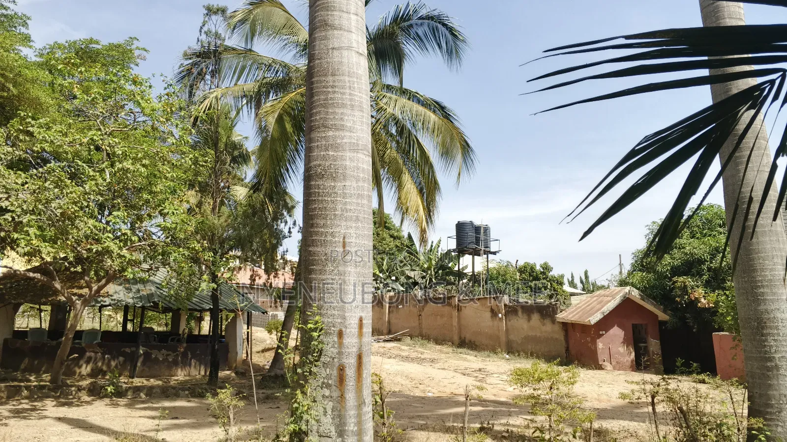 Garden for Sale