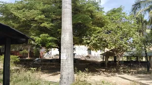 Garden for Sale