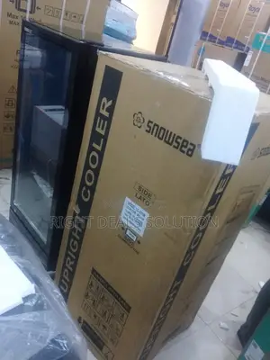 Snowsea Ls 270 Commercial Beverage Display Cooler
