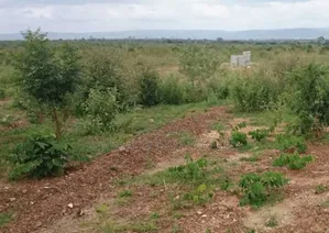 Land for Sale! Plot Size: 2,000sqm : Purpose: Residential