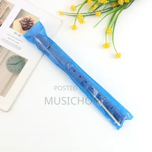 Children Recorder For Schools And Home Use
