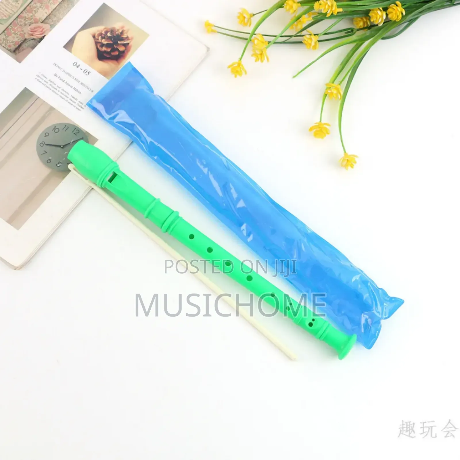 Children Recorder For Schools And Home Use