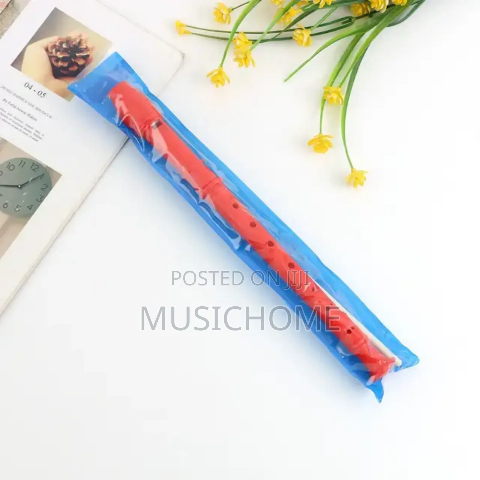Children Recorder For Schools And Home Use