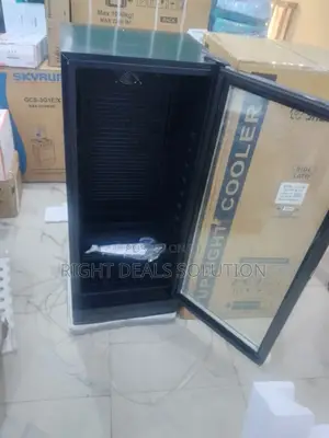 Professional Upright Cooler | Snowsea Ls 270 Model