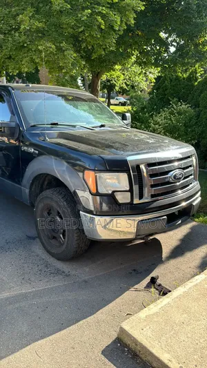 Ford F-150 FX4 2010 Black