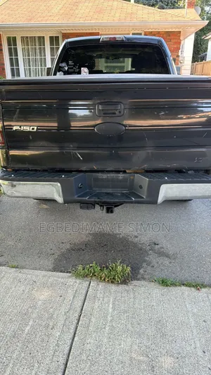 Ford F-150 FX4 2010 Black