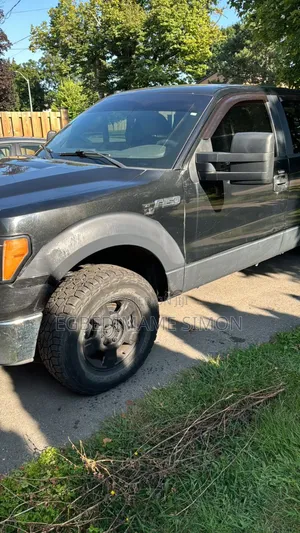 Ford F-150 FX4 2010 Black