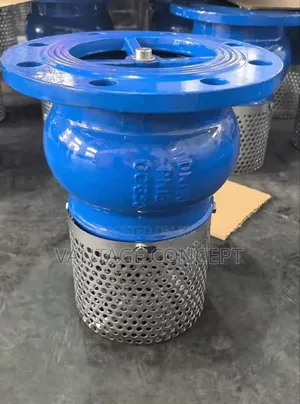 4 Inches Industrial Foot Valve
