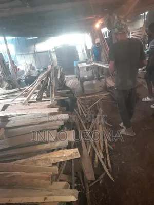 Professional Carpenter Works