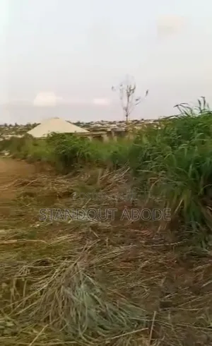 Almost 3 Plots Of Land Urgently For Sale After Atan