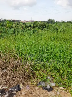 Mix Use Land for Sales