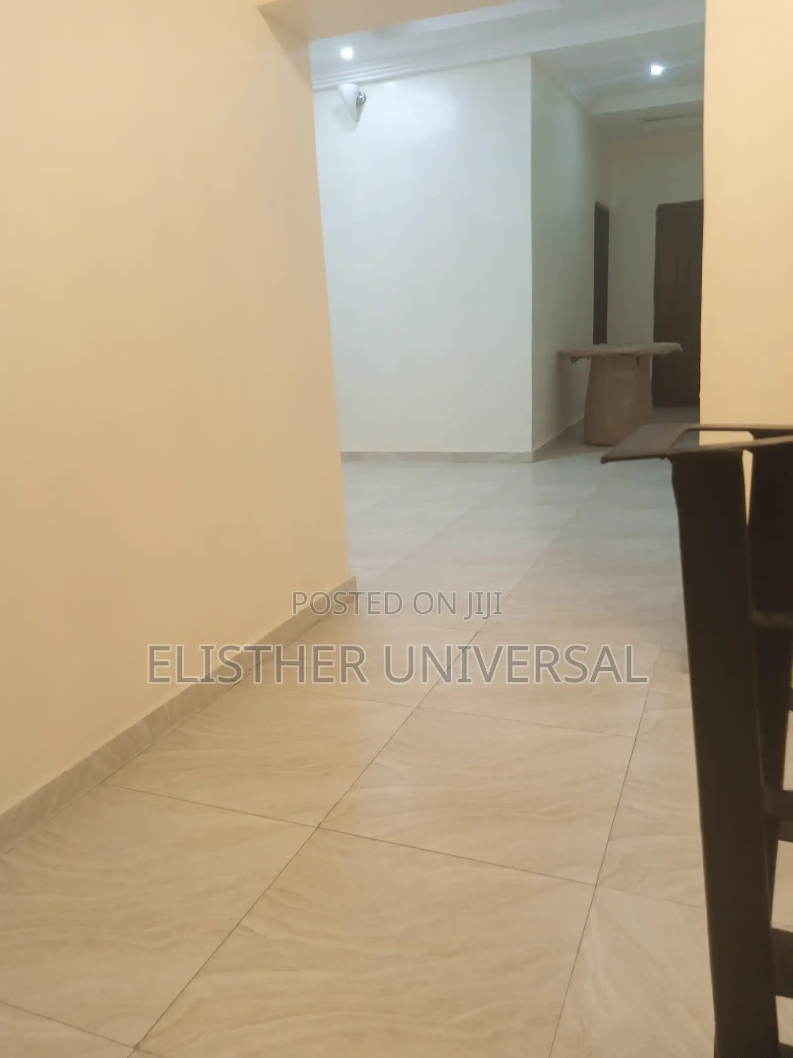 Premium Cleaning Services