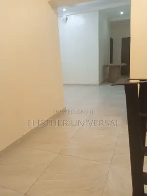 Premium Cleaning Services