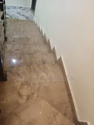 Premium Cleaning Services