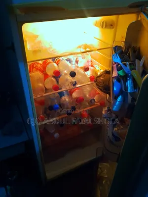 Fridge and Freezer
