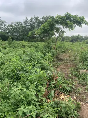 10.5 Acres Of Land Facing The Main Expressway