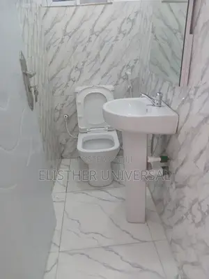 Premium Cleaning Services