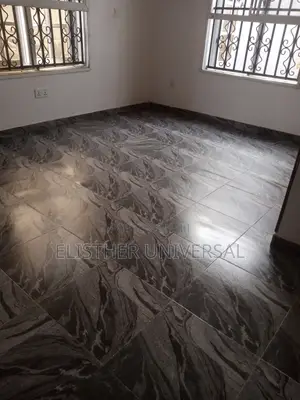 Premium Cleaning Services