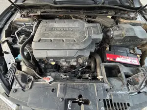 Honda Accord EX-L V-6 4dr Sedan FWD (3.5L 6cyl 6A) 2013 Gray
