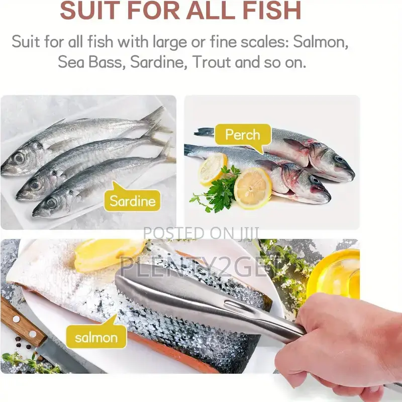 3pcs Stainless Steel Fish Scale Scraper Set - Easy-to-Use, Durable Kit