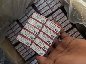 6000-2z/C3 Skf Bearing Available