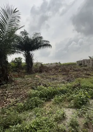 Full Plot of Land