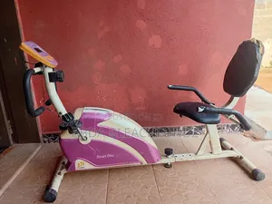 Recumbent Exercise Bike