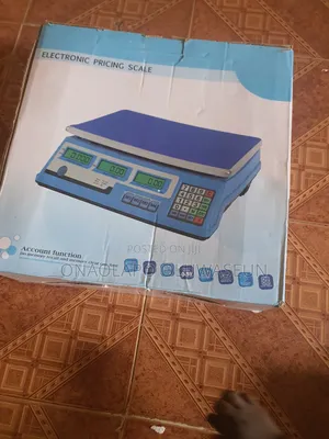 Electronic Pricing Scale
