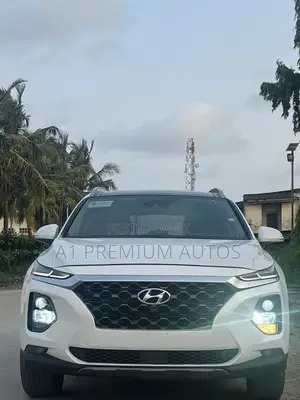 Hyundai Santa Fe Limited 2.0T AWD 2019 White