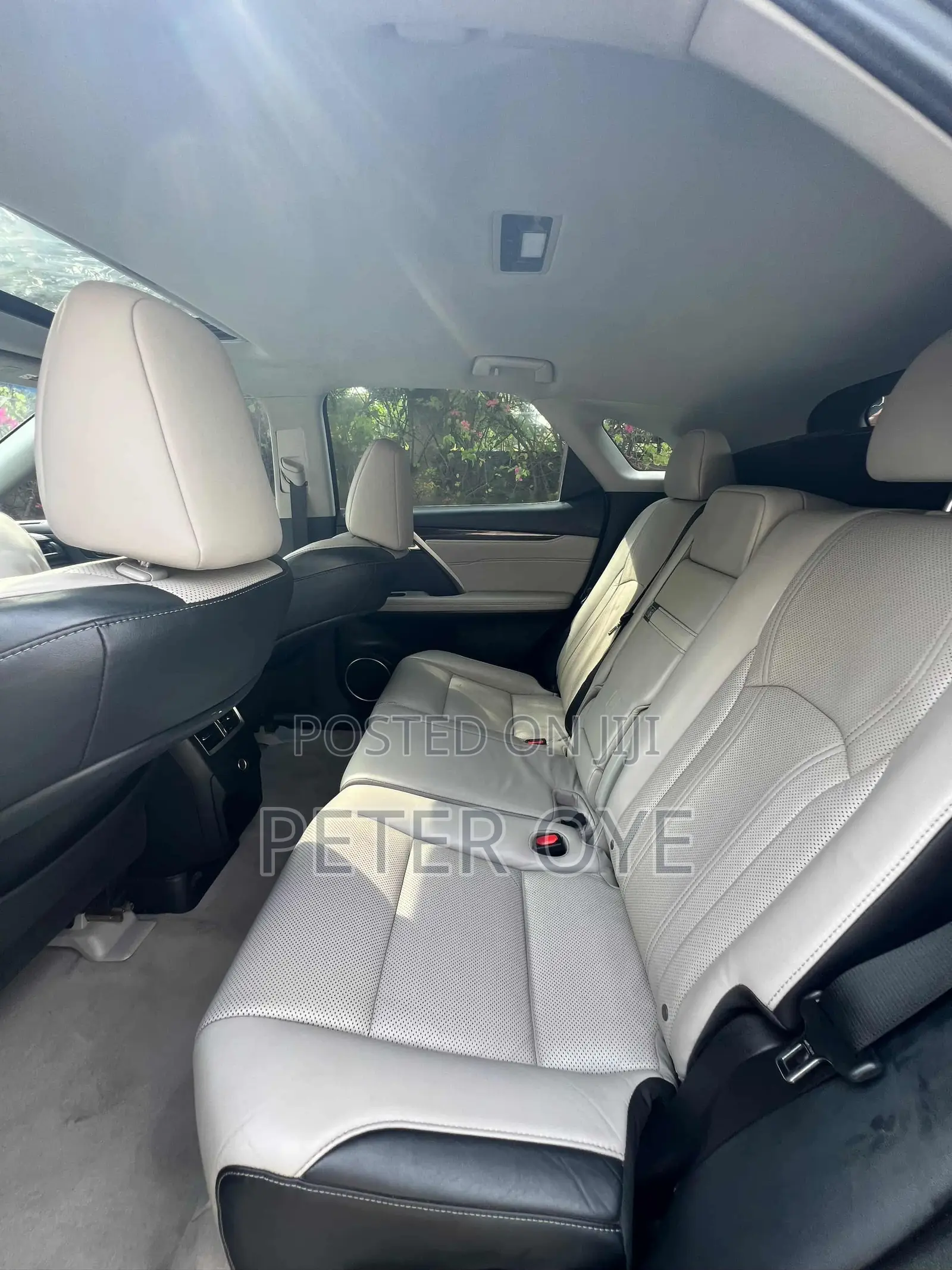 Lexus RX 2018 Gray