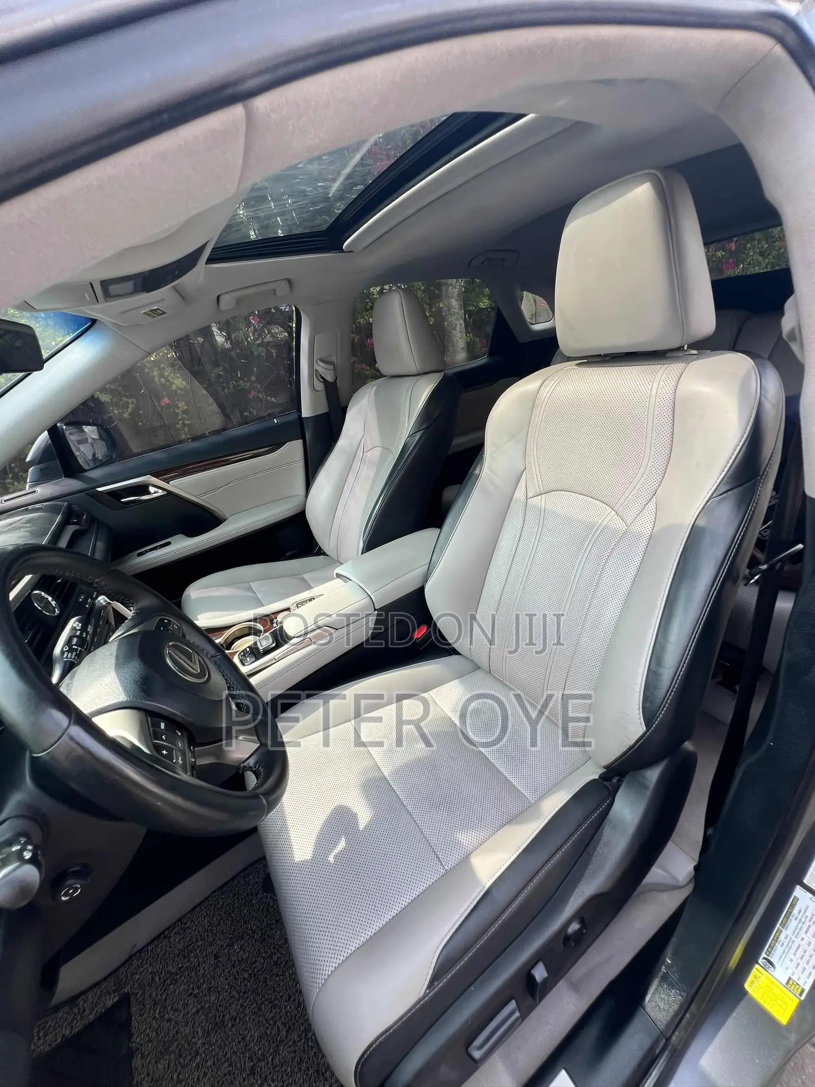 Lexus RX 2018 Gray