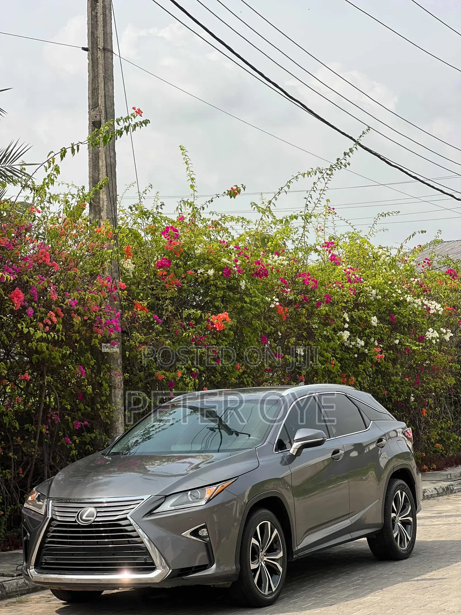 Lexus RX 2018 Gray