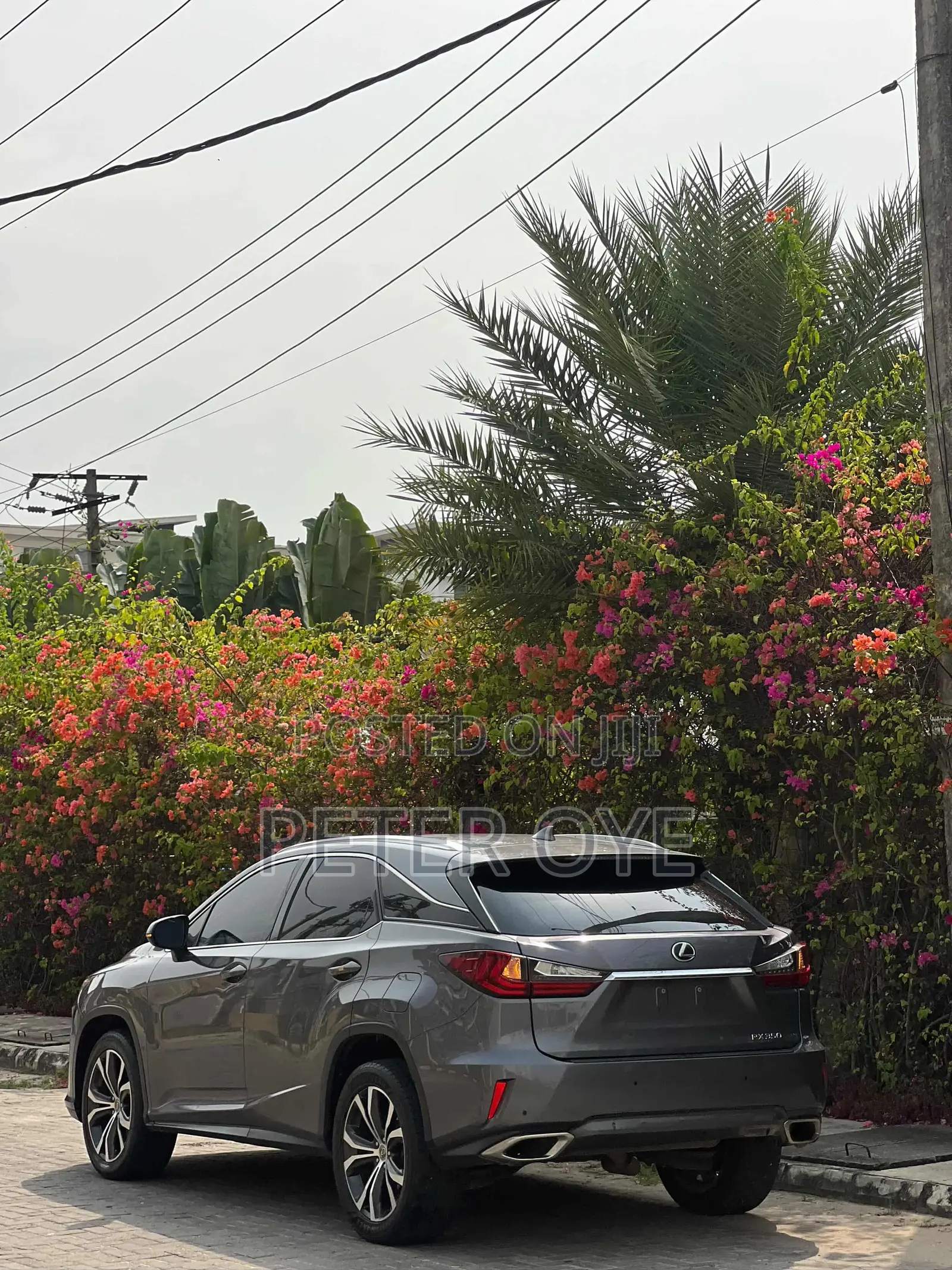Lexus RX 2018 Gray